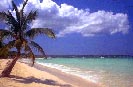 20070223172707-paradisiaco.jpg
